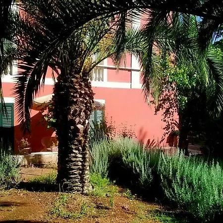 Ippocastano *